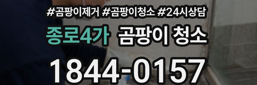 종로4가 곰팡이 청소