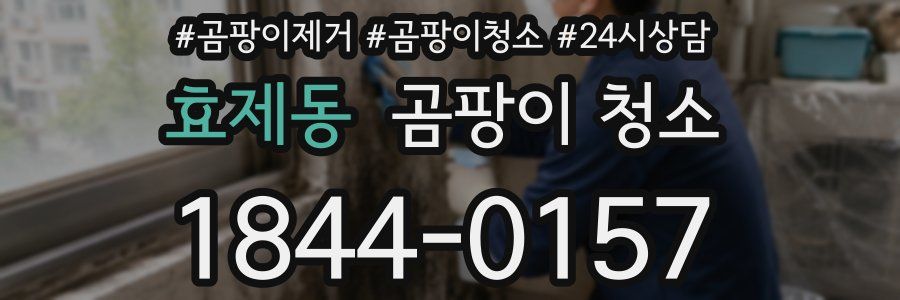 효제동 곰팡이 청소