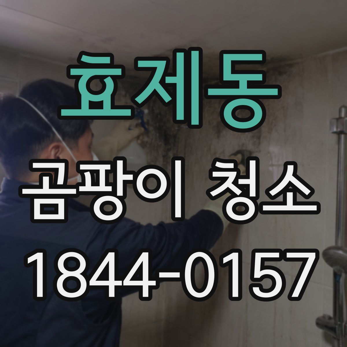 효제동 곰팡이 청소