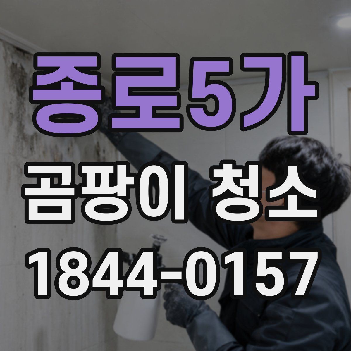 종로5가 곰팡이 청소 베란다 몰딩과 창틀 사이를 살펴야 하는 이유