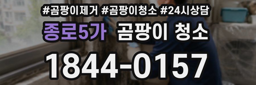 종로5가 곰팡이 청소