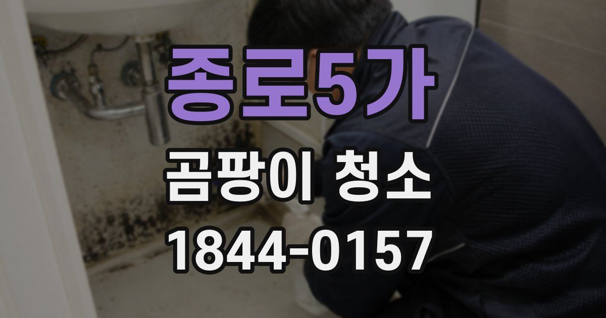 종로5가 곰팡이 청소