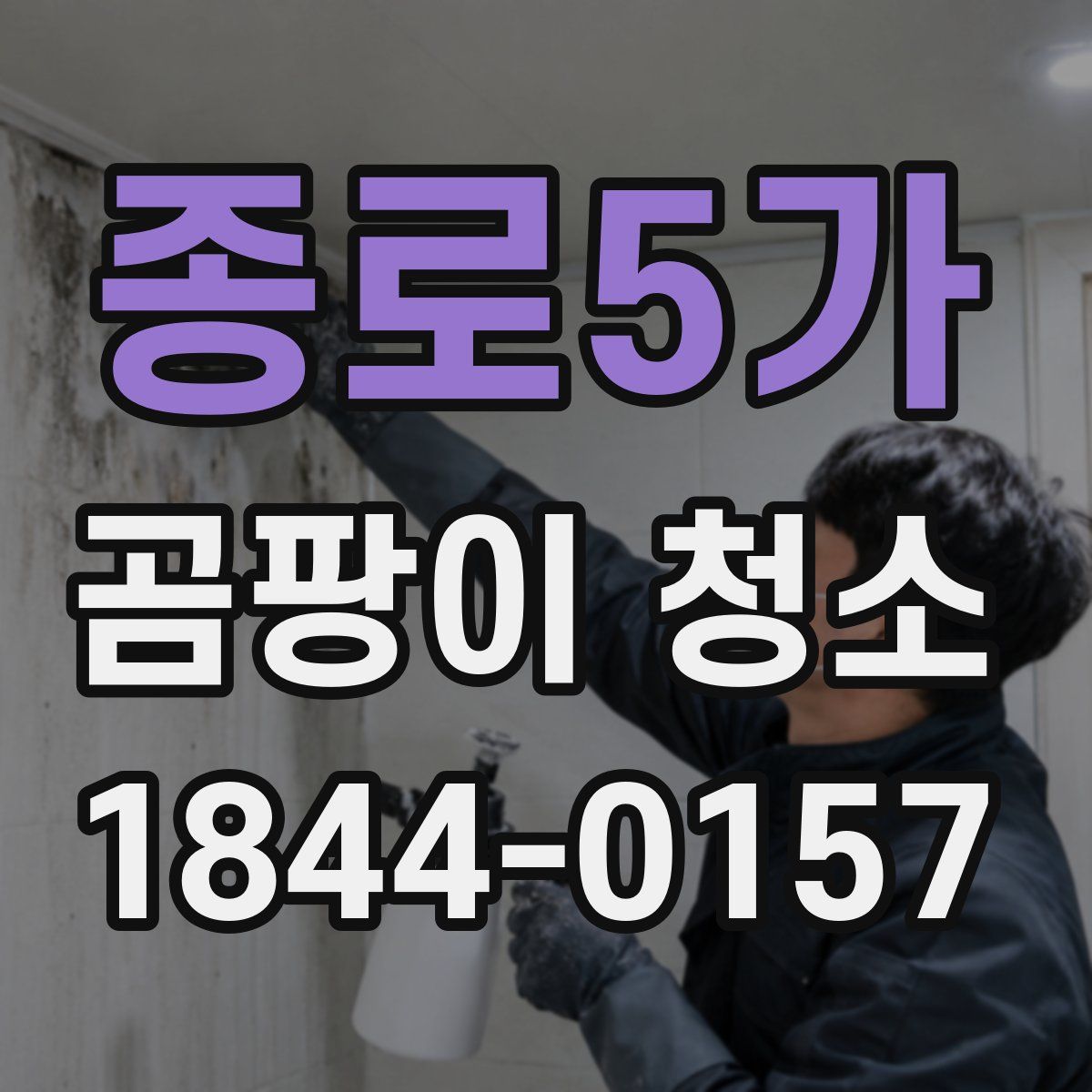 종로5가 곰팡이 청소