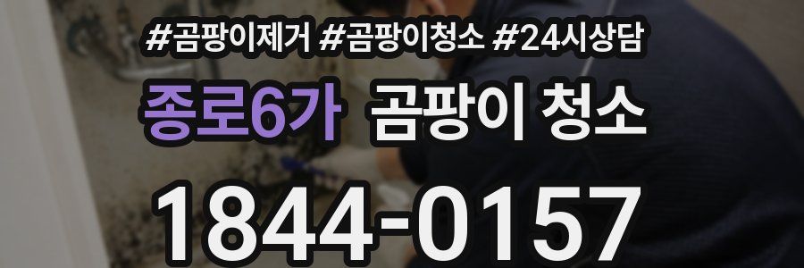종로6가 곰팡이 청소