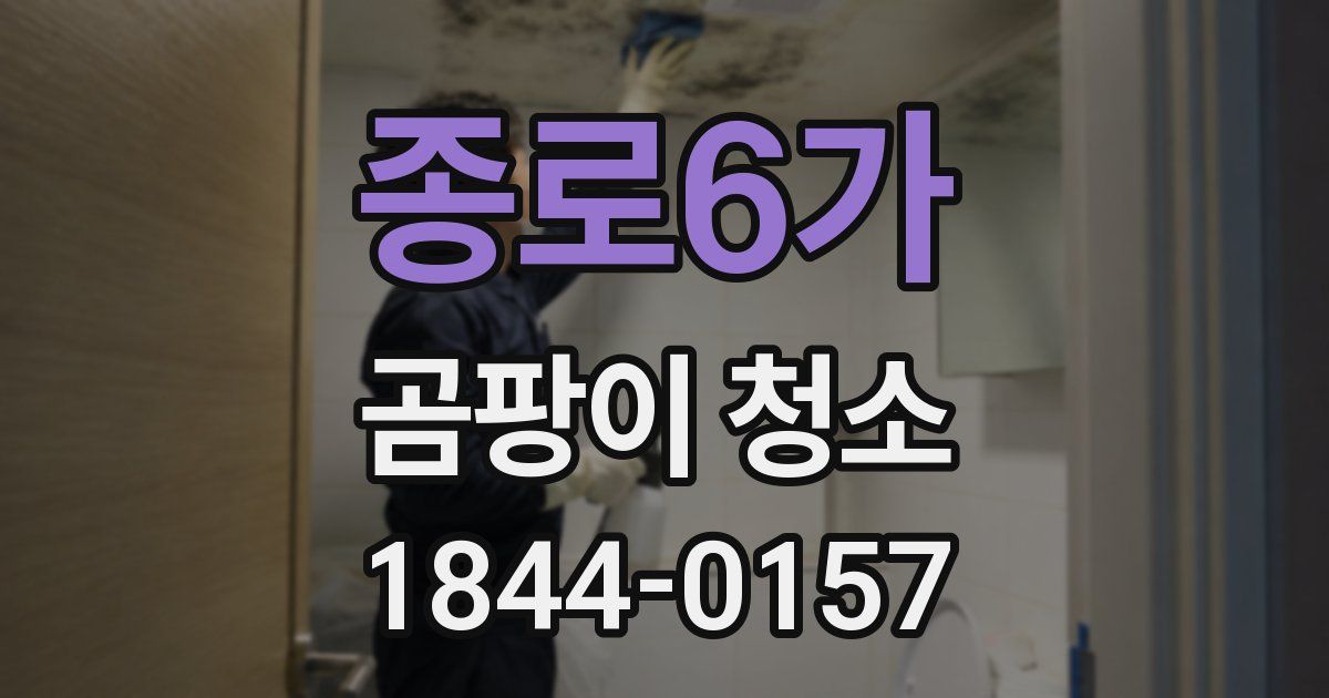 종로6가 곰팡이 청소