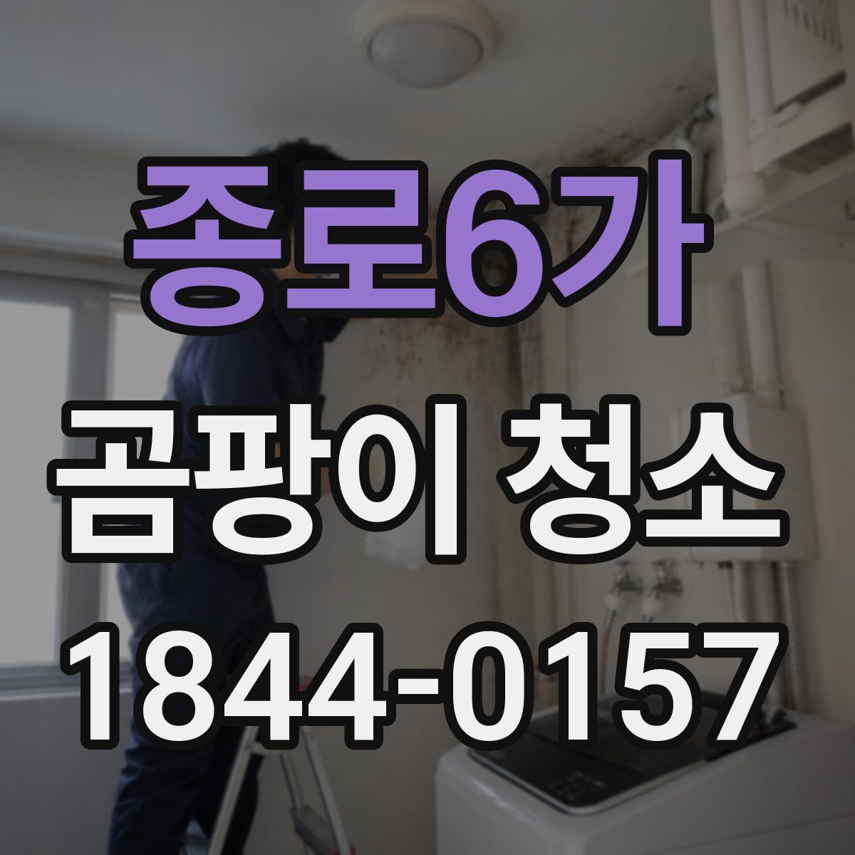 종로6가 곰팡이 청소