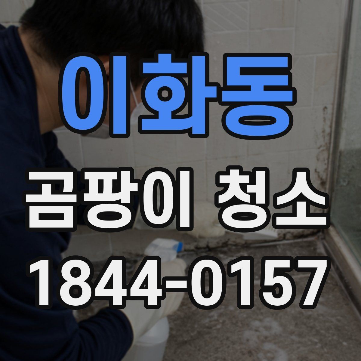 이화동 곰팡이 청소 심한 오염은 청소보다 교체가 나은지 살펴보기