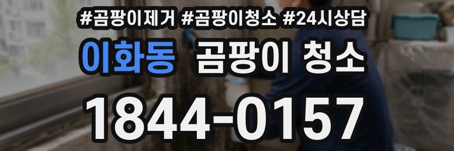 이화동 곰팡이 청소