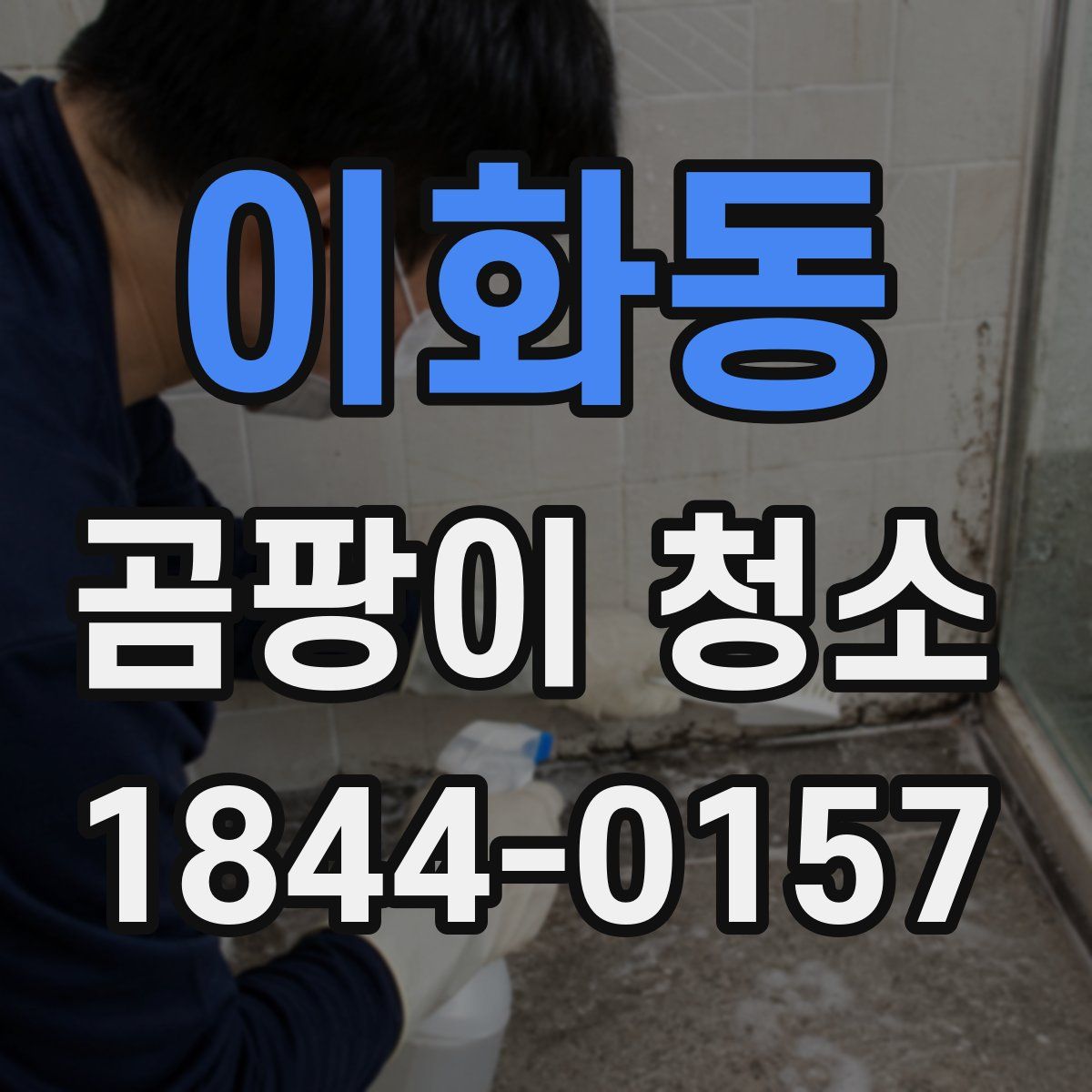 이화동 곰팡이 청소