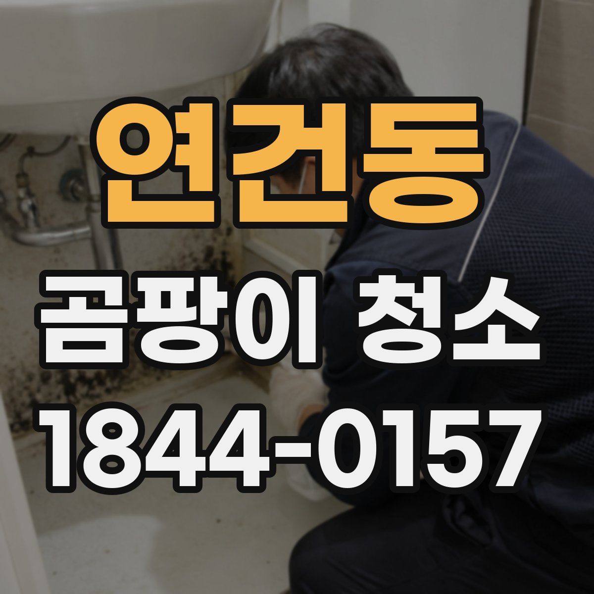 연건동 곰팡이 청소