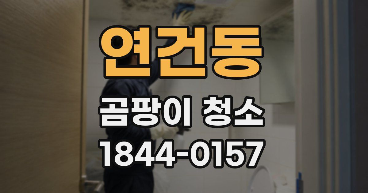 연건동 곰팡이 청소