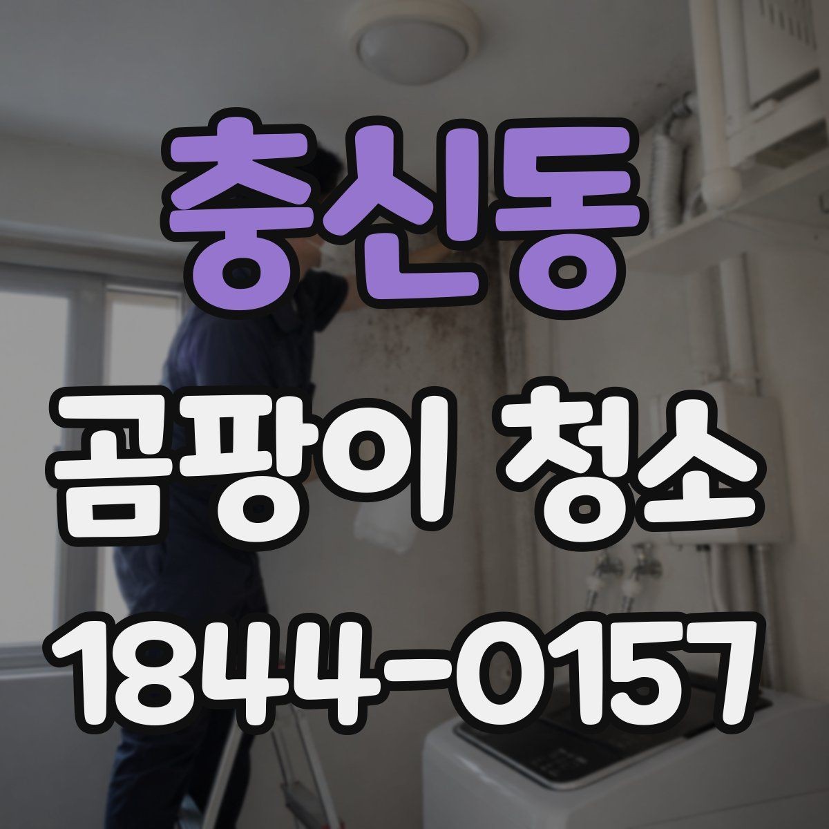 충신동 곰팡이 청소 오염 정도에 따라 달라지는 작업 방식