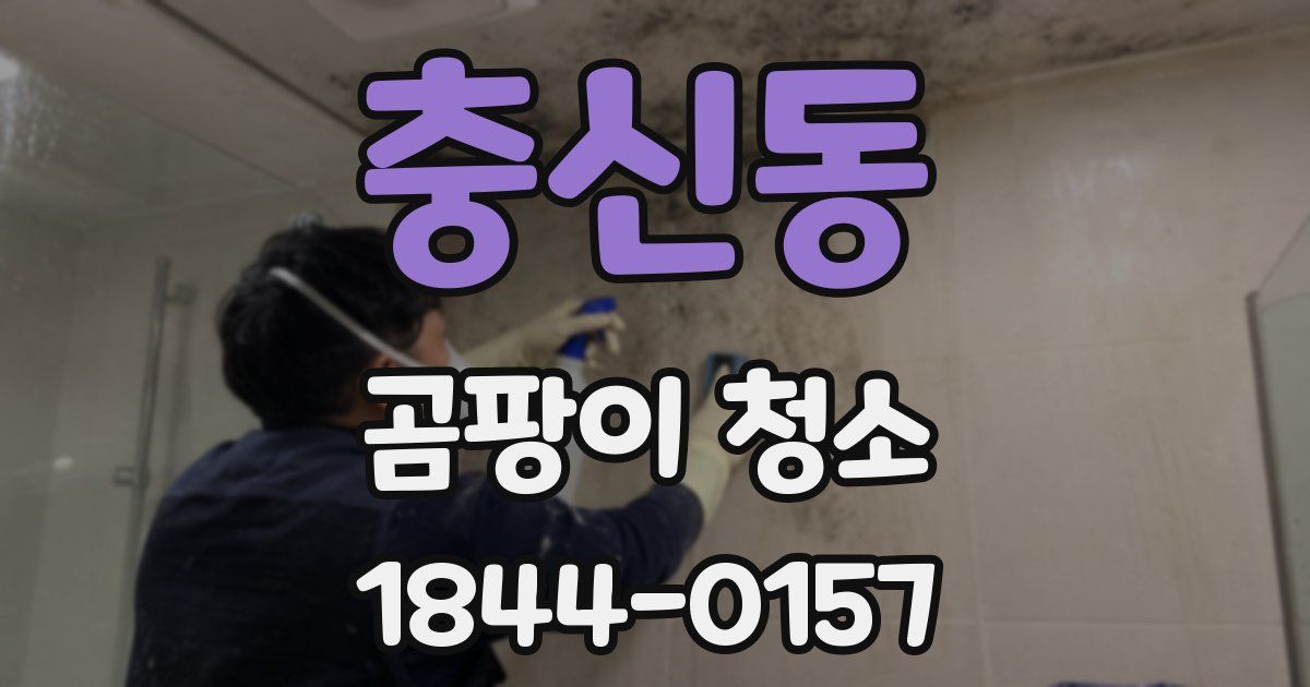 충신동 곰팡이 청소