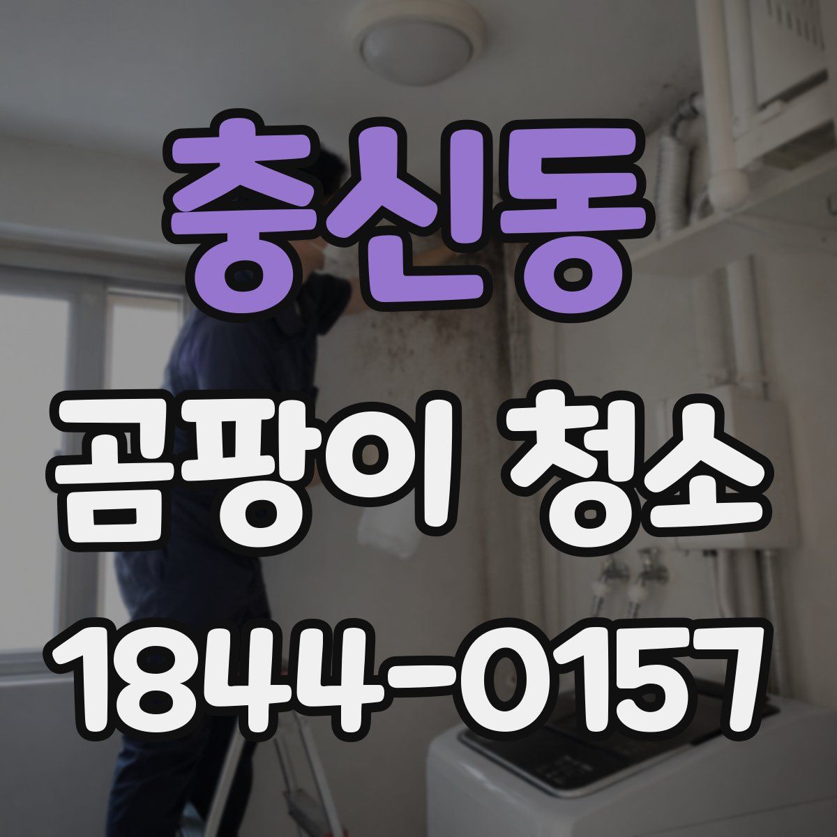 충신동 곰팡이 청소