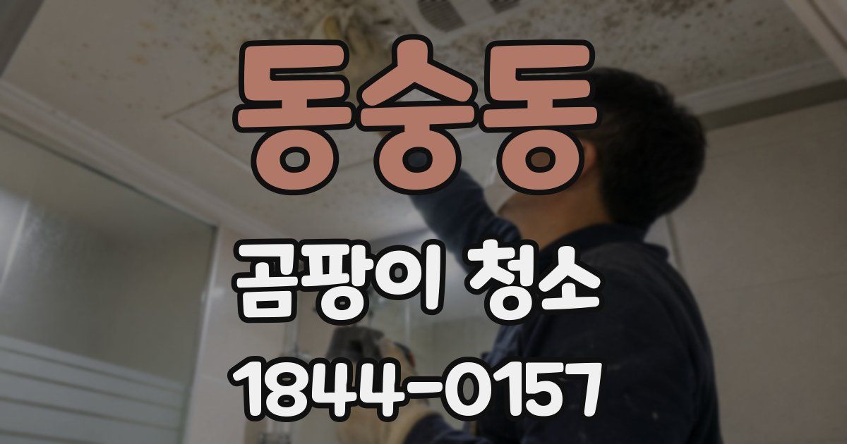 동숭동 곰팡이 청소