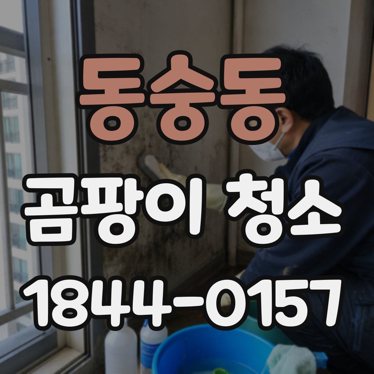 동숭동 곰팡이 청소