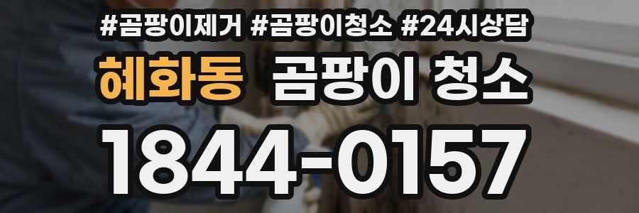 혜화동 곰팡이 청소