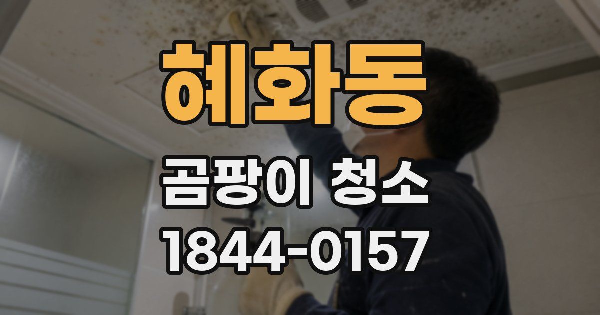 혜화동 곰팡이 청소