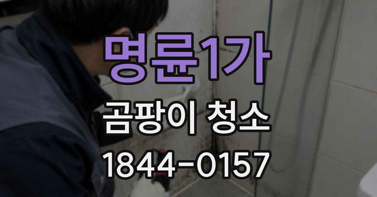 명륜1가 곰팡이 청소