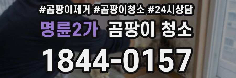 명륜2가 곰팡이 청소