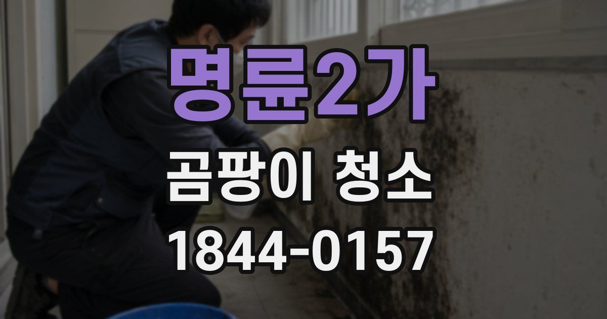 명륜2가 곰팡이 청소