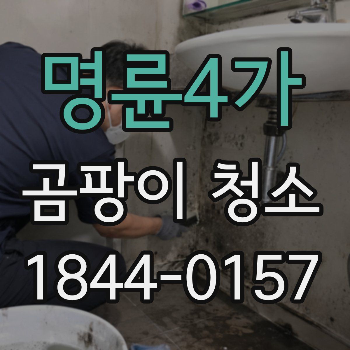 명륜4가 곰팡이 청소