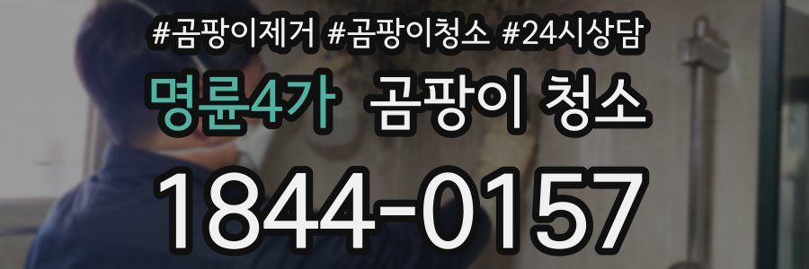 명륜4가 곰팡이 청소