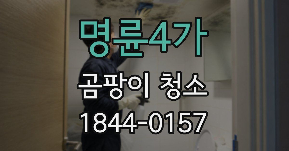 명륜4가 곰팡이 청소