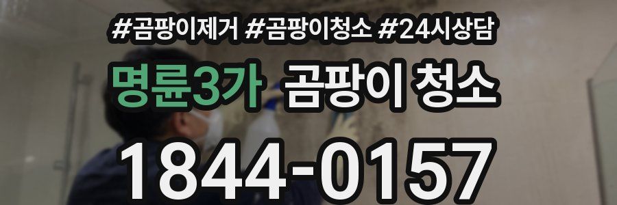 명륜3가 곰팡이 청소