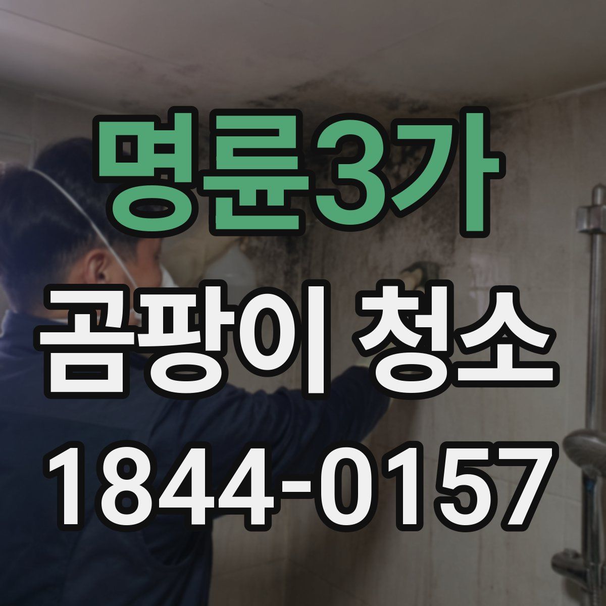 명륜3가 곰팡이 청소