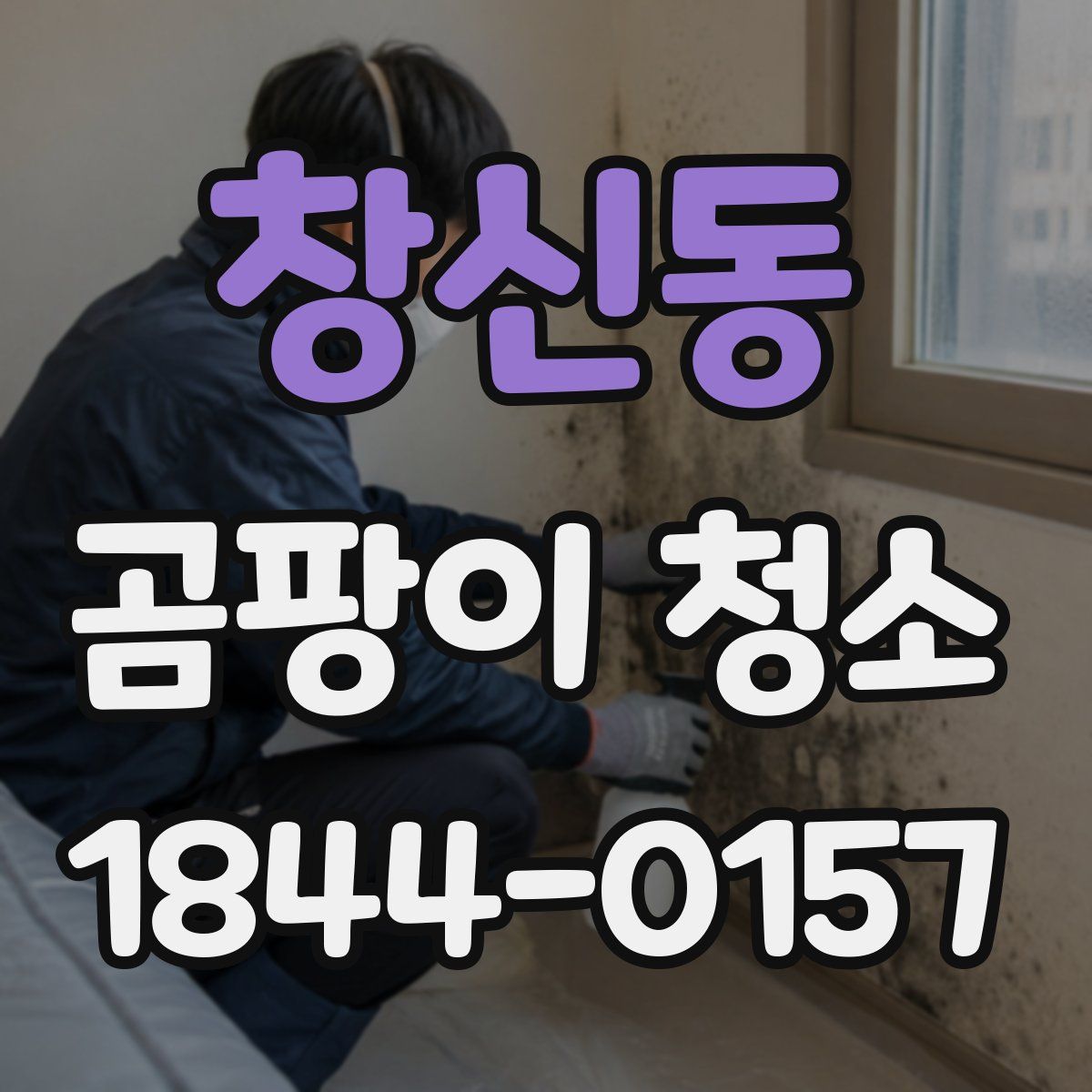 창신동 곰팡이 청소