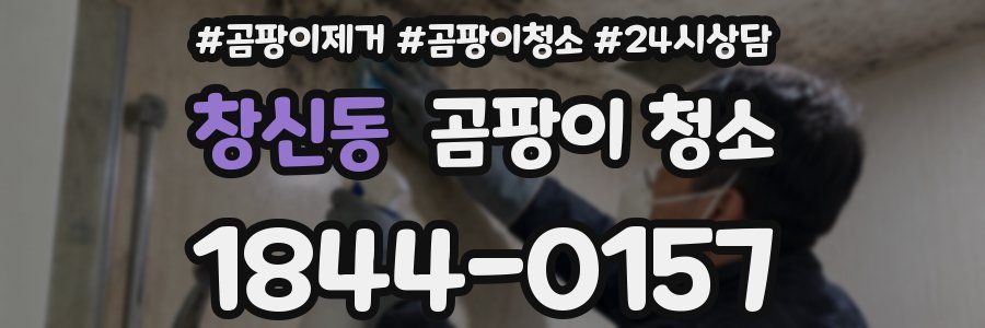 창신동 곰팡이 청소