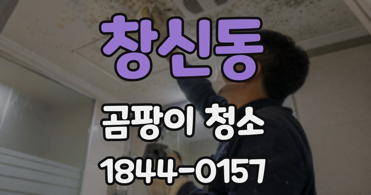 창신동 곰팡이 청소