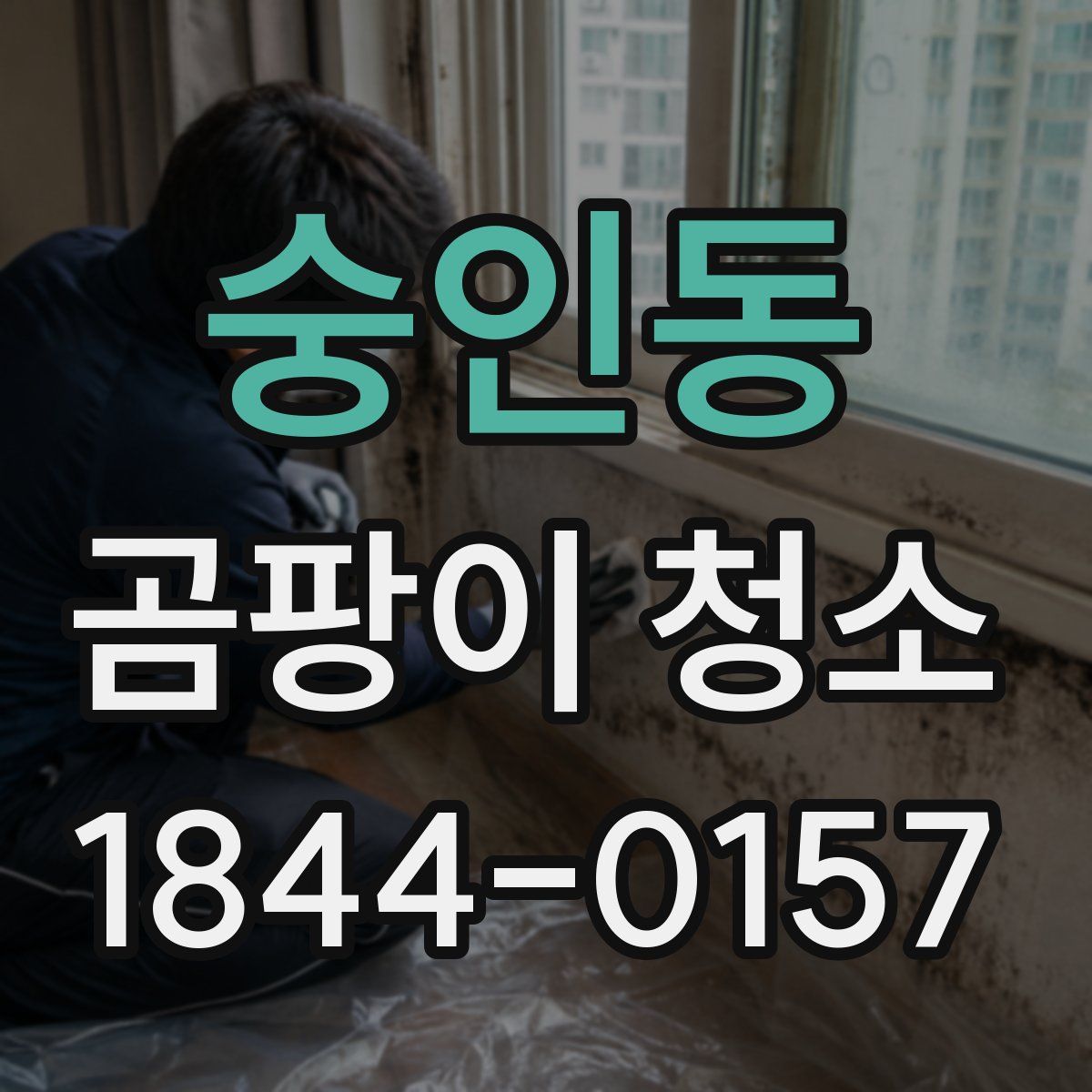 숭인동 곰팡이 청소