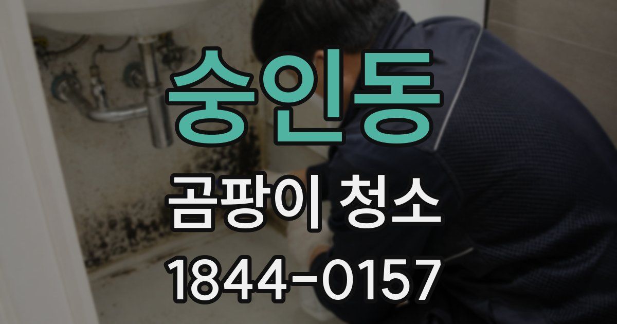 숭인동 곰팡이 청소