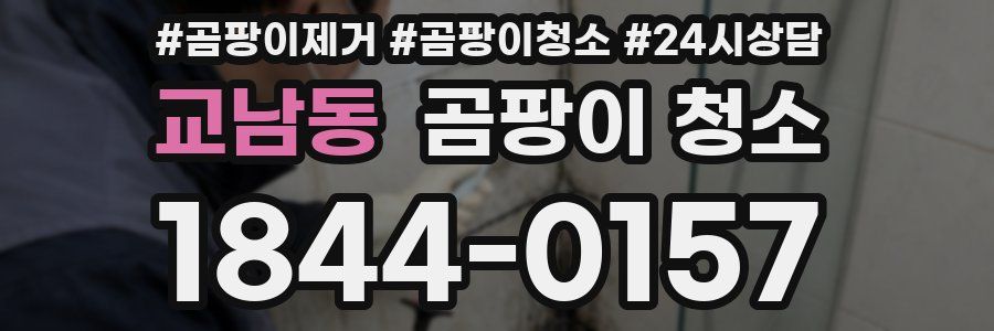 교남동 곰팡이 청소