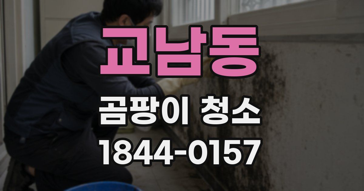 교남동 곰팡이 청소