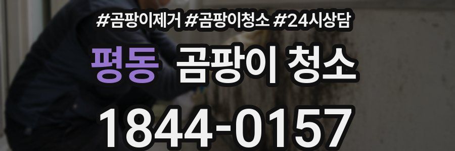 평동 곰팡이 청소