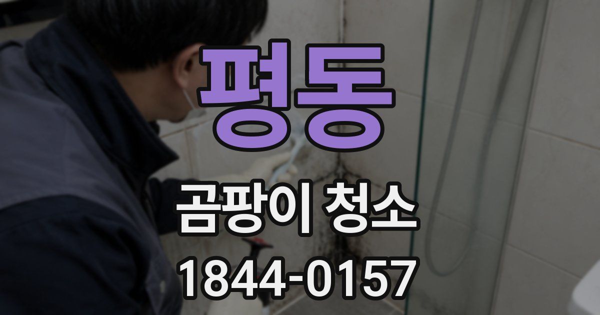평동 곰팡이 청소
