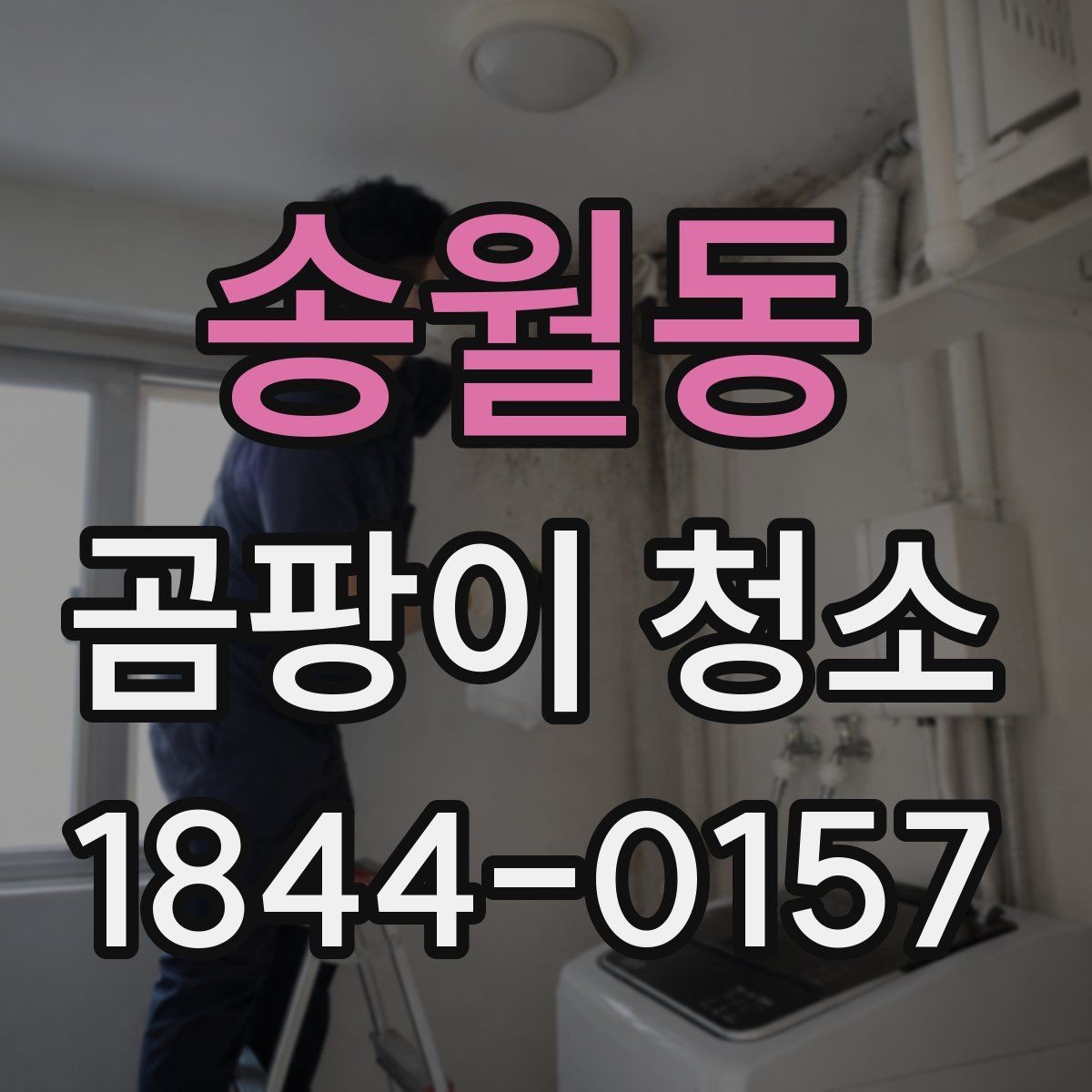 송월동 곰팡이 청소 베란다 창틀과 실리콘을 함께 살피는 법