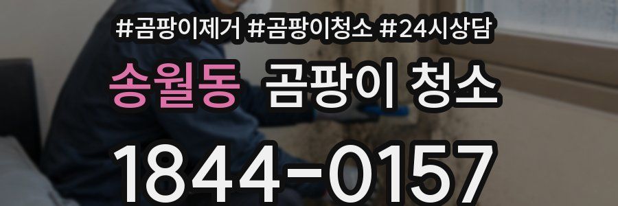 송월동 곰팡이 청소