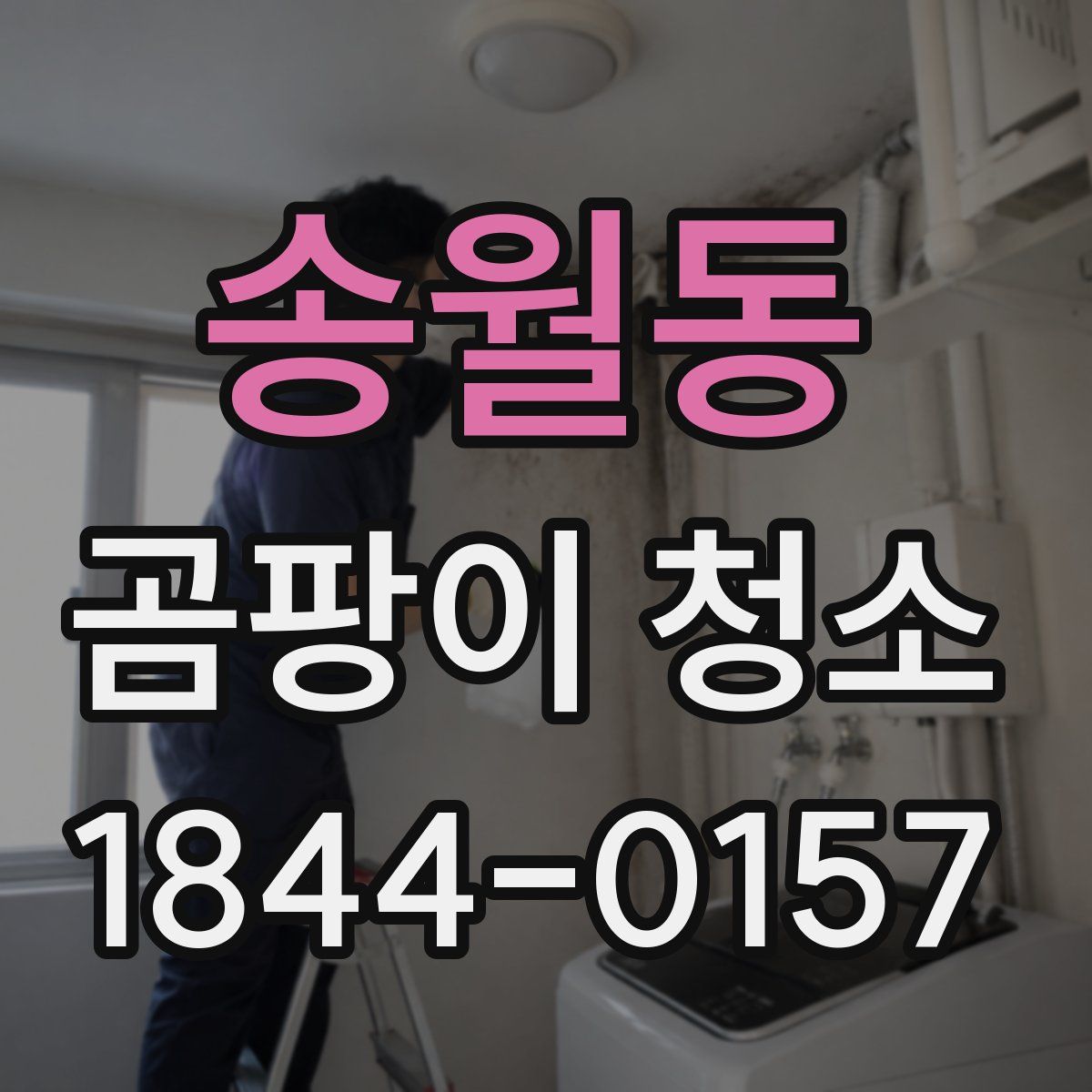 송월동 곰팡이 청소