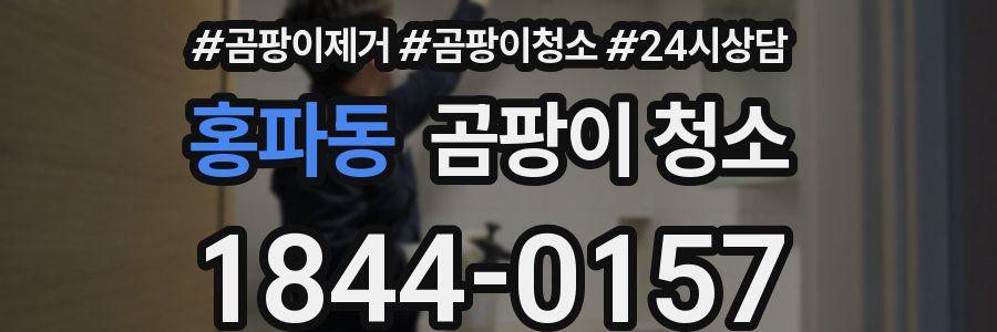 홍파동 곰팡이 청소