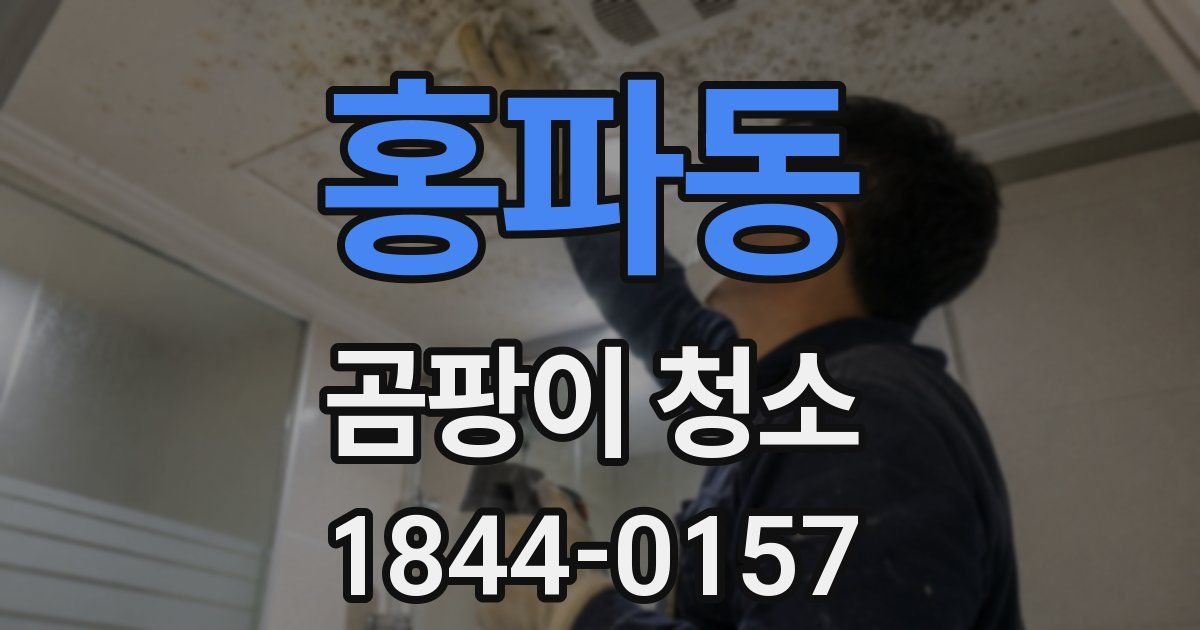 홍파동 곰팡이 청소