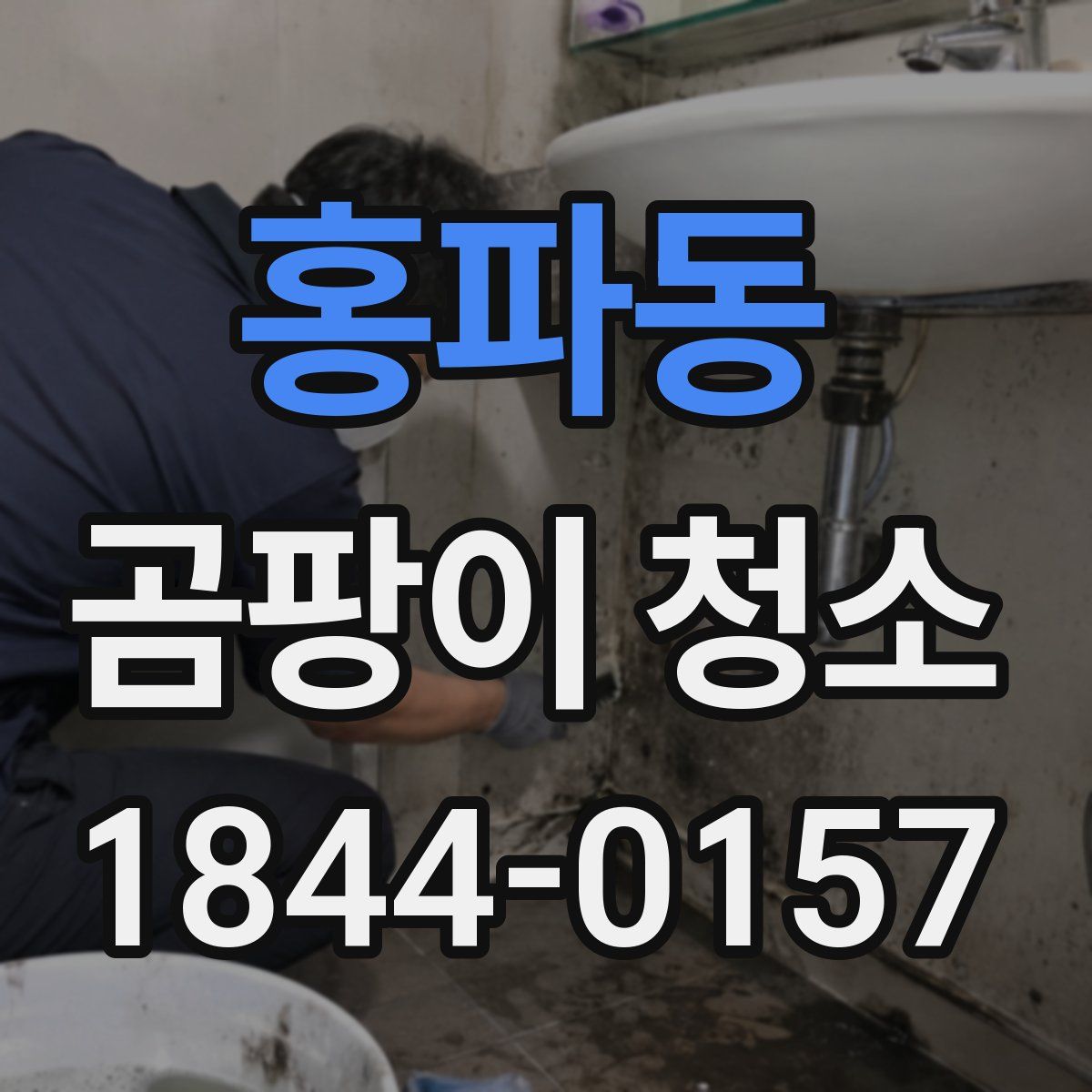 홍파동 곰팡이 청소