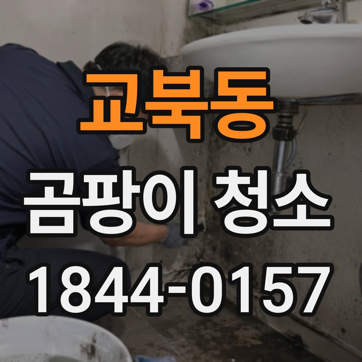 교북동 곰팡이 청소