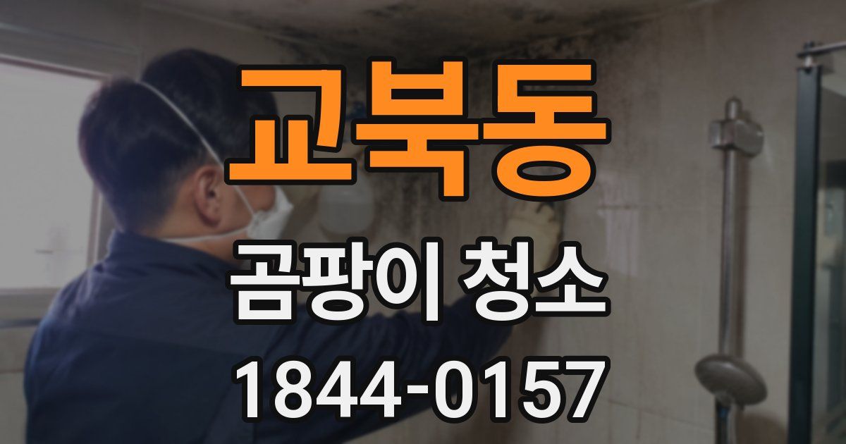 교북동 곰팡이 청소