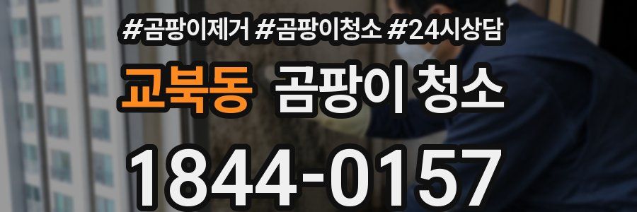 교북동 곰팡이 청소