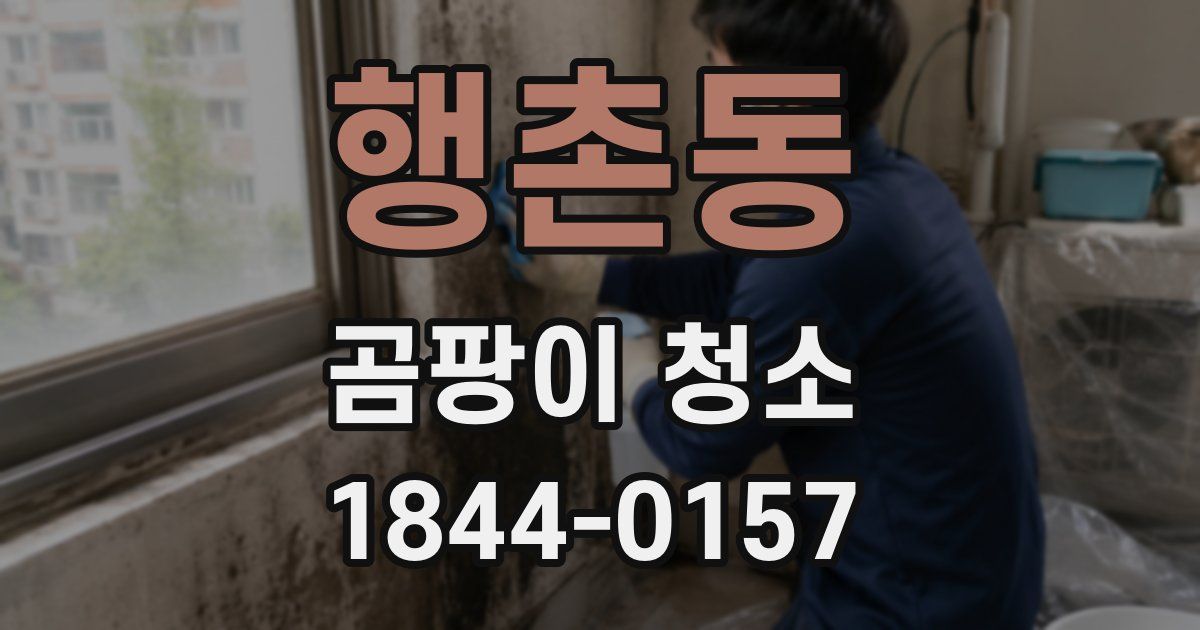 행촌동 곰팡이 청소