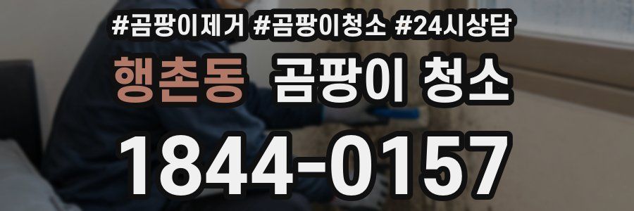 행촌동 곰팡이 청소
